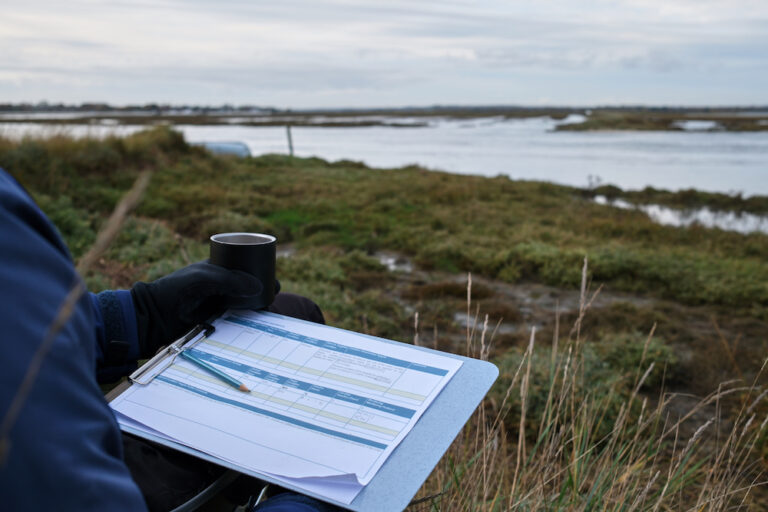 #367 Nature Based Solutions: The End of Grey Engineering