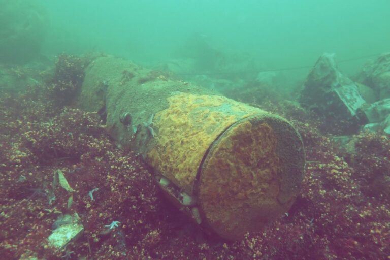 #370 The Forgotten Arsenal of the Ocean: Clearing Dumped Munitions